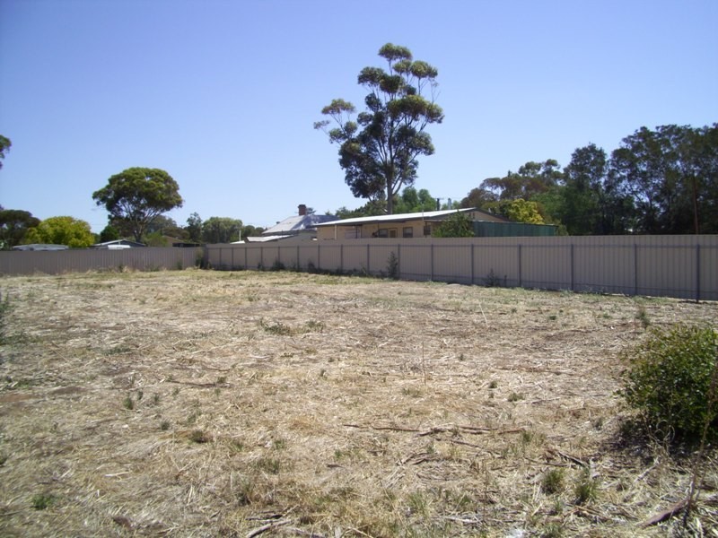 193 Mattiske Street, Freeling SA 5372