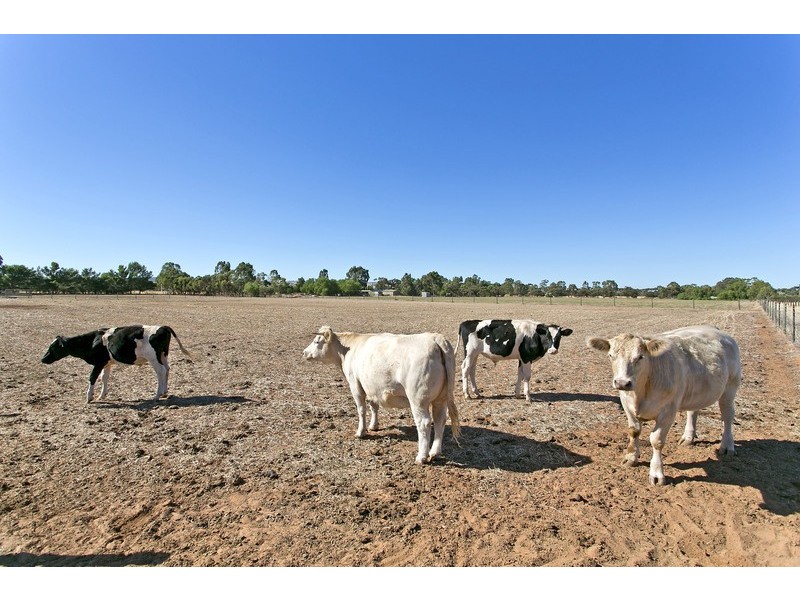 27 Reed Road, Hillier SA 5116