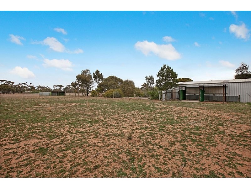 81 Old Mallala Road OWEN VIA, Mallala SA 5502