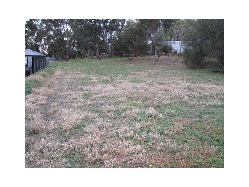 16 Gramp Court, Lyndoch SA 5351