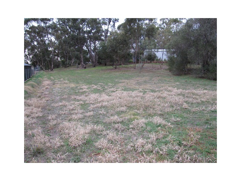 16 Gramp Court, Lyndoch SA 5351