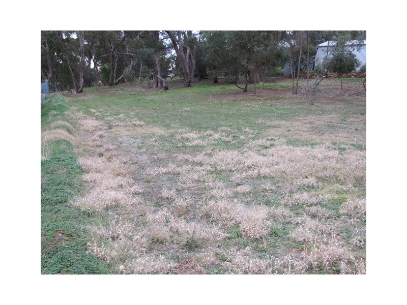 16 Gramp Court, Lyndoch SA 5351