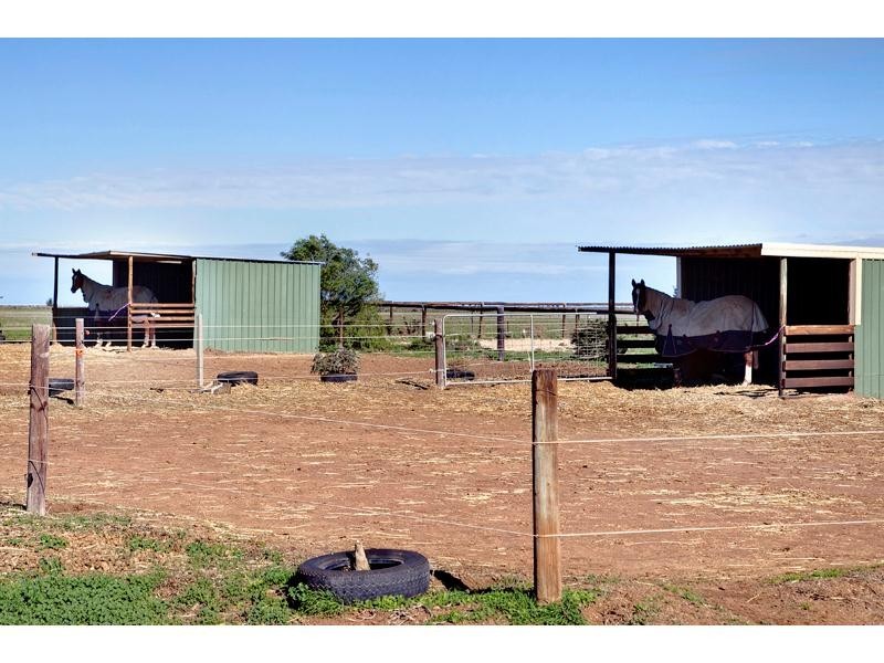 Sec 169 Ruskin Road, Dublin SA 5501