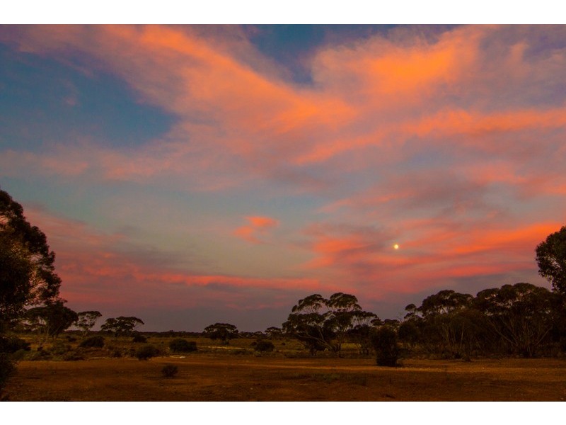 8469 Thiele Highway, Bower SA 5374