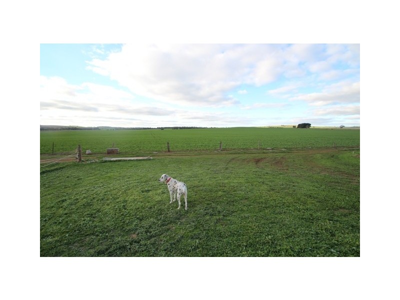 Lot 4 Marrabel Road, Riverton SA 5412