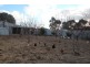 Lot 4 Marrabel Road, Riverton SA 5412