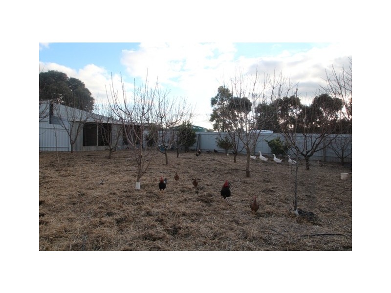 Lot 4 Marrabel Road, Riverton SA 5412