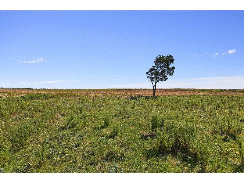 477 Carslake Road, Dublin SA 5501