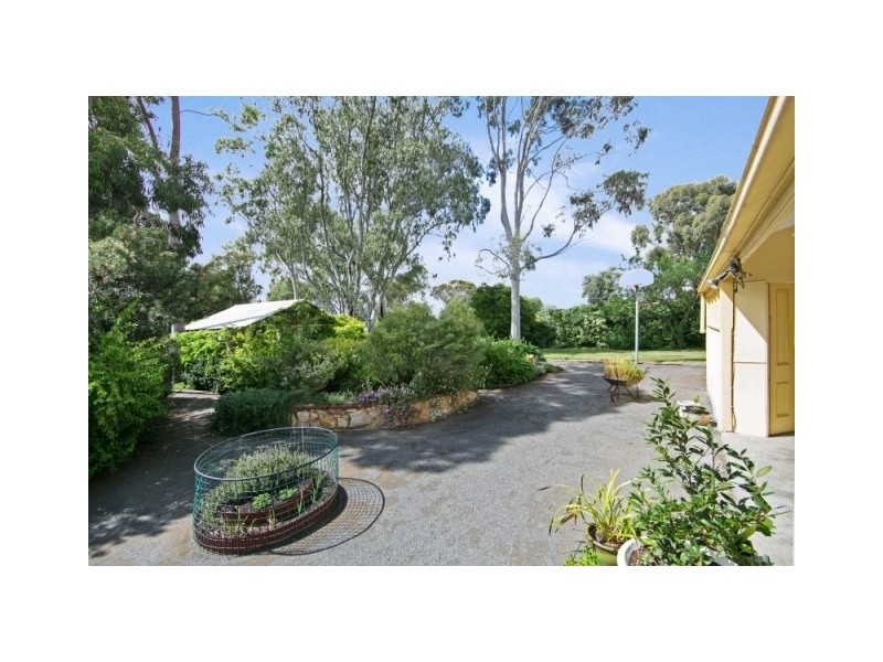 21 Clarke Street, Freeling SA 5372