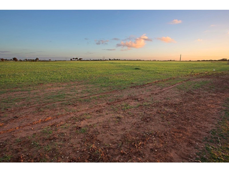 1020 Verner Road, Reeves Plains SA 5502
