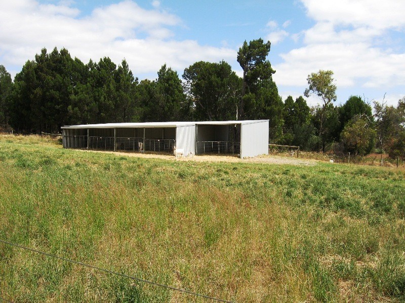381 Pimpala Road, Cockatoo Valley SA 5351