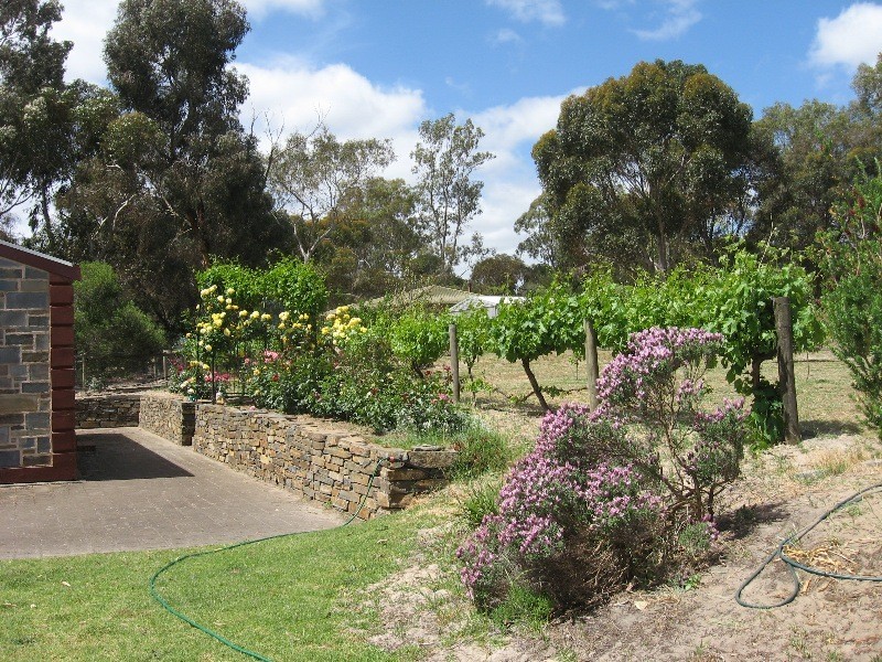 381 Pimpala Road, Cockatoo Valley SA 5351