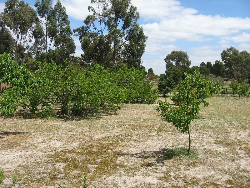 381 Pimpala Road, Cockatoo Valley SA 5351