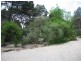381 Pimpala Road, Cockatoo Valley SA 5351