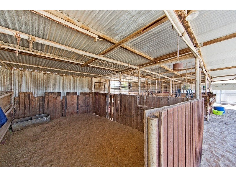 101 Daniel Avenue, Globe Derby Park SA 5110