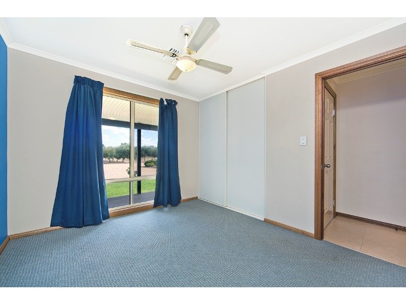 196 Hayman Road, Lewiston SA 5501