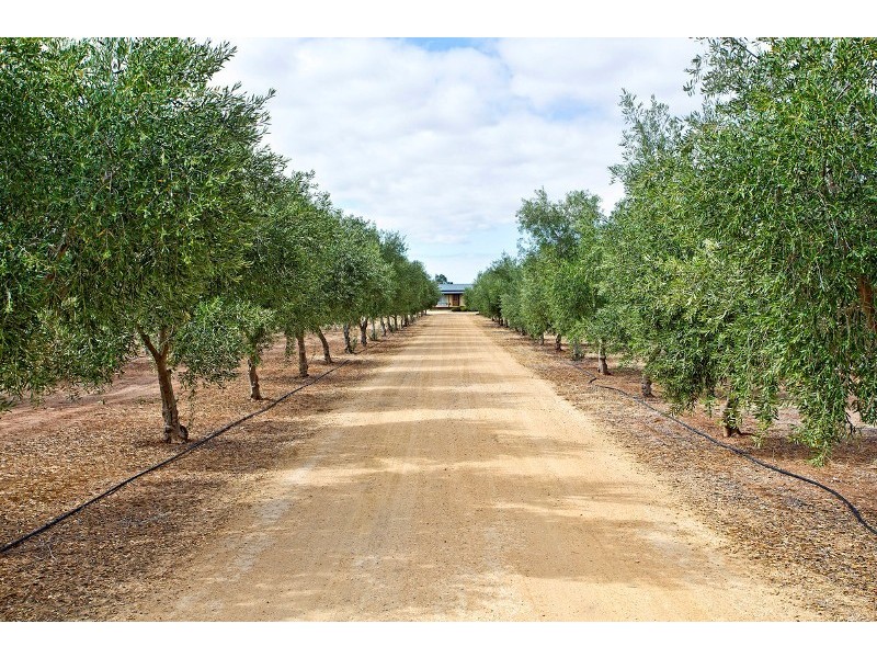 196 Hayman Road, Lewiston SA 5501