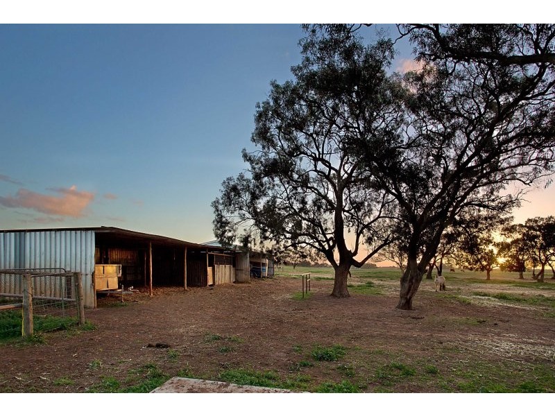 1020 Verner Road, Reeves Plains SA 5502