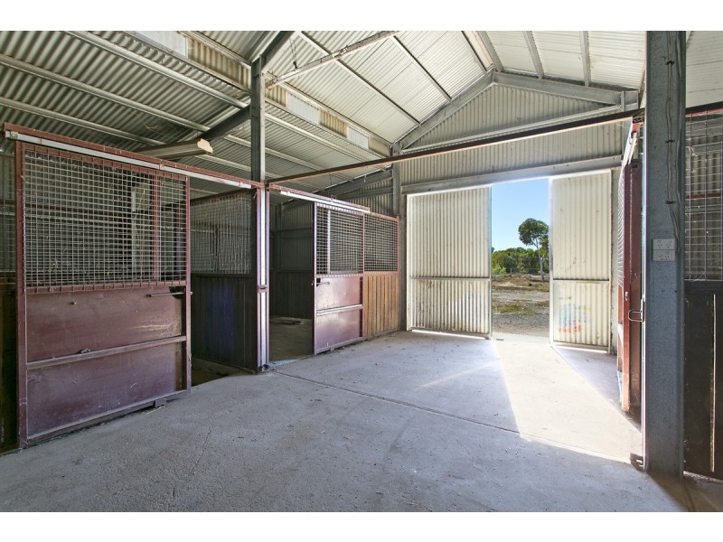 Lot 160 Buckland Park Rd, Two Wells SA 5501