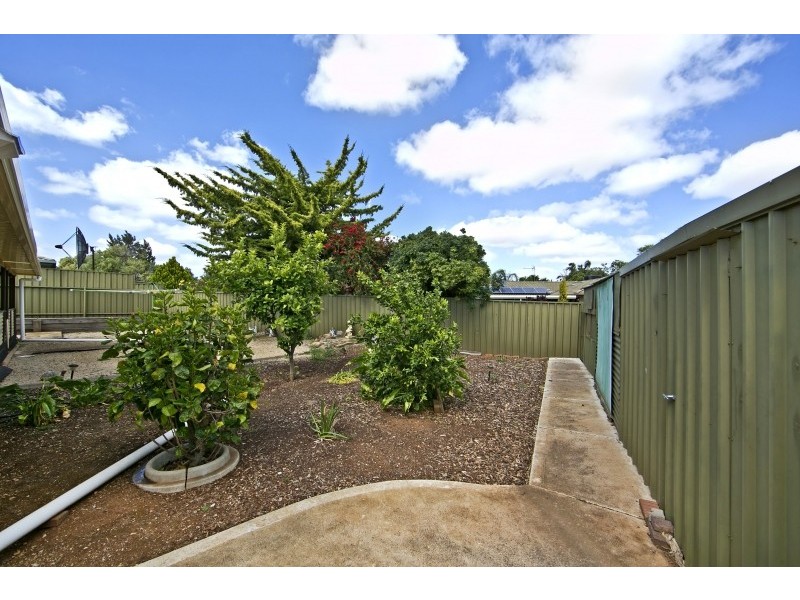 19 Springvale Drive, Blakeview SA 5114