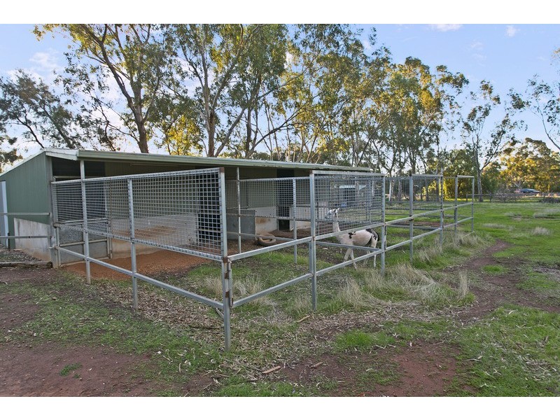 9 James Sim Court, Kalbeeba SA 5118