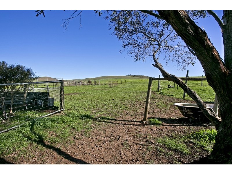 Lot 368 Eudunda Road POINT PASS VIA, Kapunda SA 5373