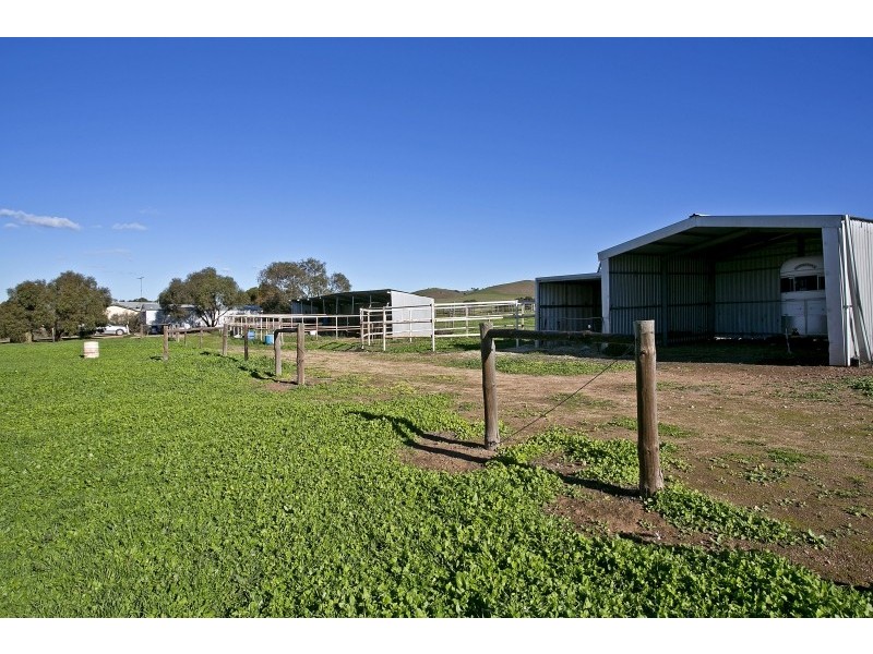 Lot 368 Eudunda Road POINT PASS VIA, Kapunda SA 5373