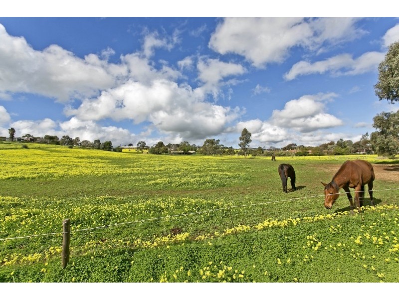 77 Potts Road, Evanston Park SA 5116