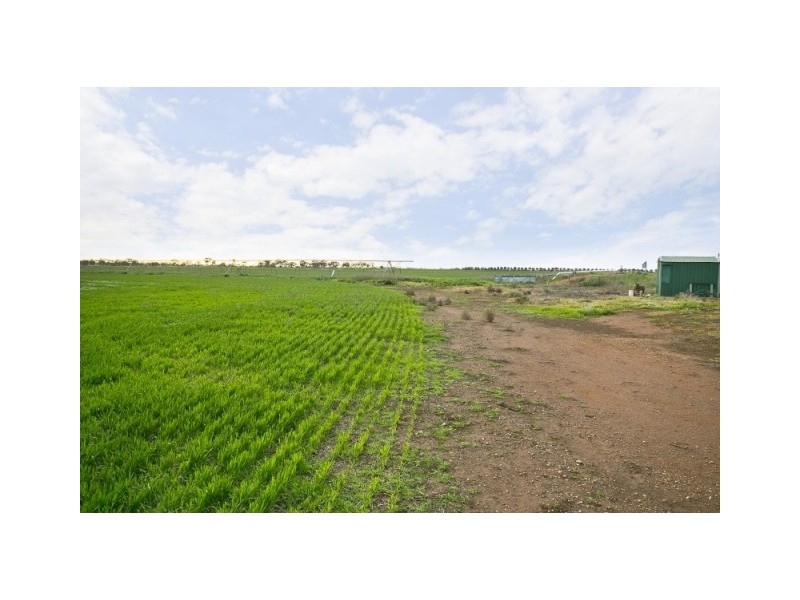 208 Aerodrome Road, Mallala SA 5502