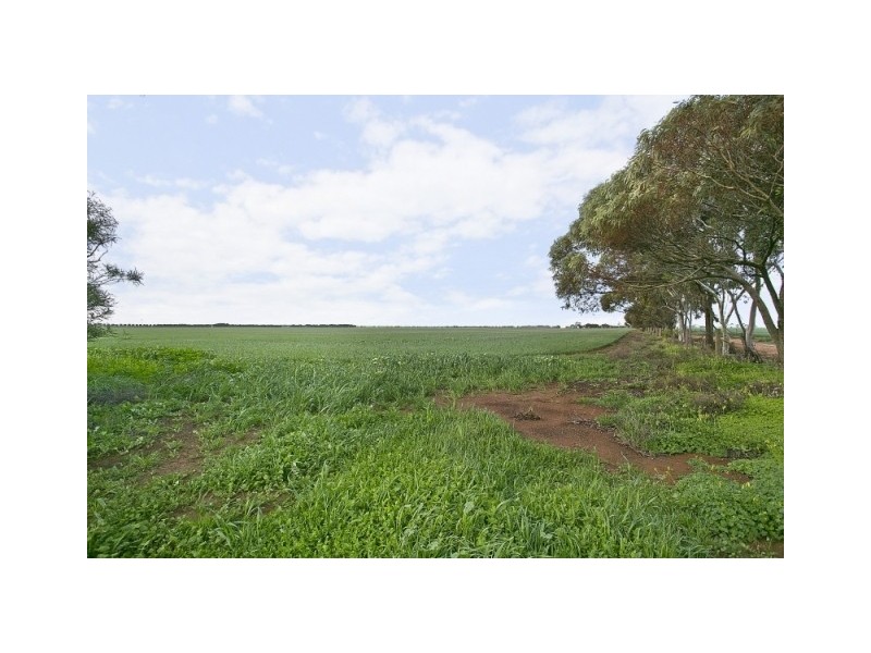 208 Aerodrome Road, Mallala SA 5502