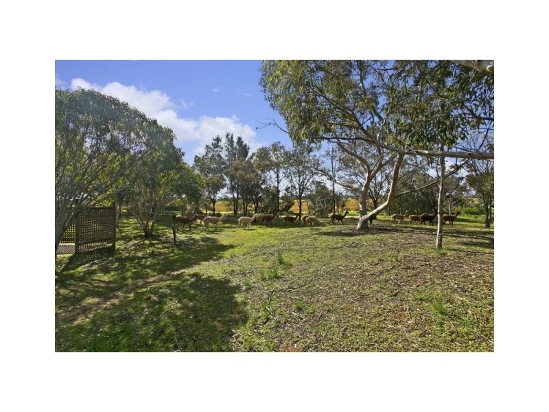 Lot 139 Fairlie Road, Gawler Belt SA 5118