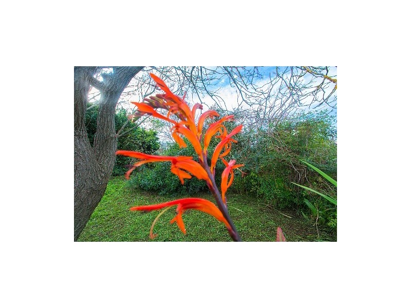 6 Blackwell Street, Kapunda SA 5373