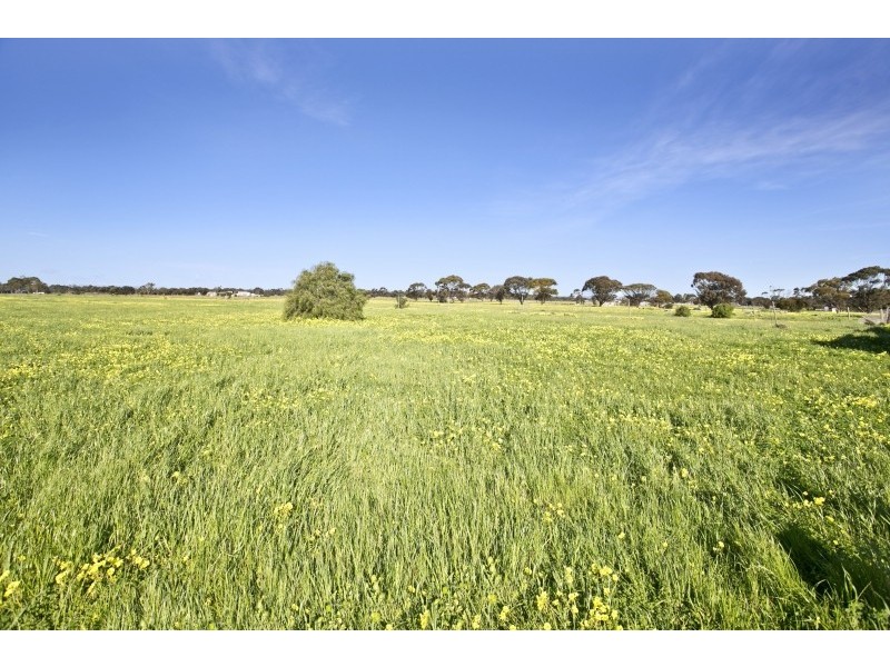 92 Frost Road, Lewiston SA 5501