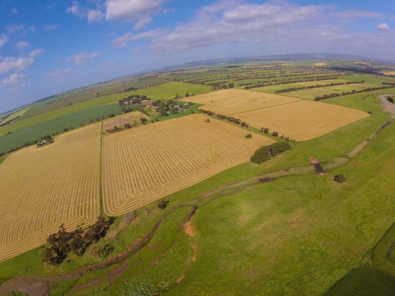 5 Zerk Road, Rosedale SA 5350