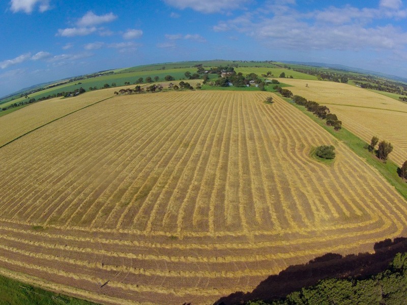 5 Zerk Road, Rosedale SA 5350