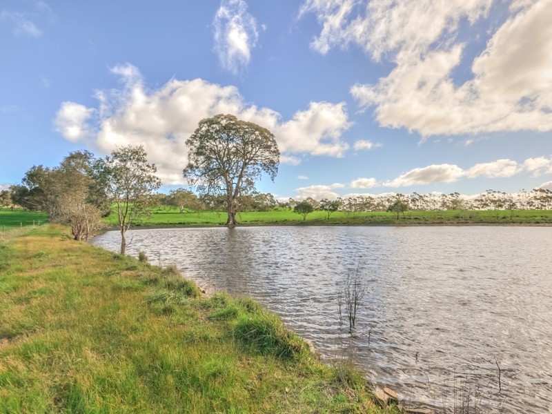 52 Whites Boundary Road CROMER VIA, Mount Pleasant SA 5235