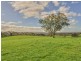 52 Whites Boundary Road CROMER VIA, Mount Pleasant SA 5235