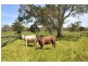 52 Whites Boundary Road CROMER VIA, Mount Pleasant SA 5235