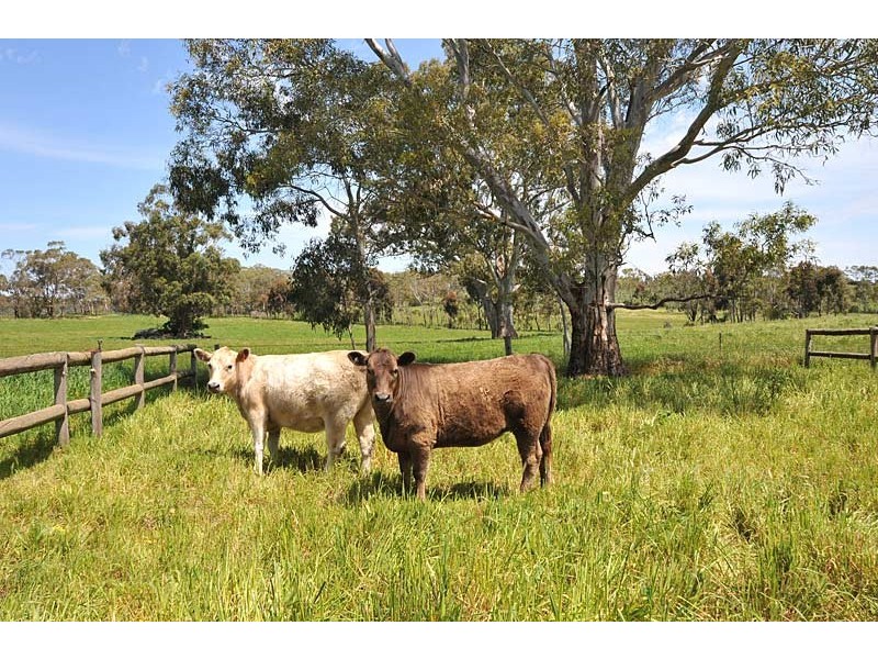 52 Whites Boundary Road CROMER VIA, Mount Pleasant SA 5235