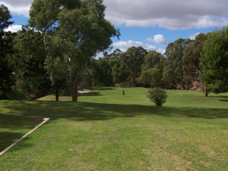 53 Panter Street, Willaston SA 5118