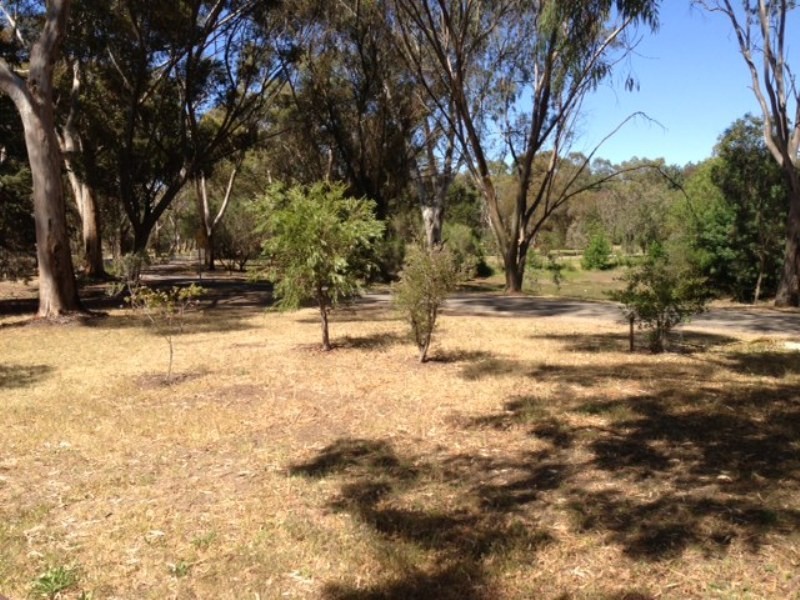 7 Ash Drive, Nuriootpa SA 5355