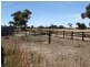 Lot 151 Trim Road, Two Wells SA 5501