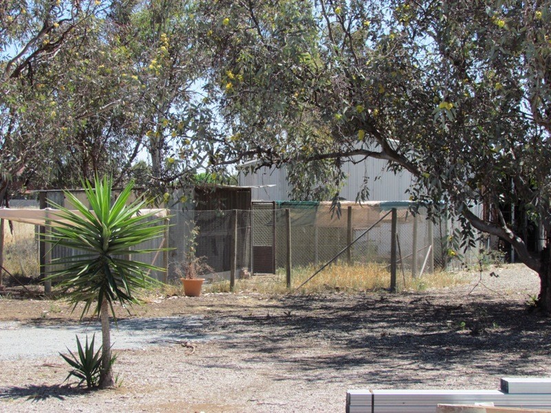 Lot 151 Trim Road, Two Wells SA 5501