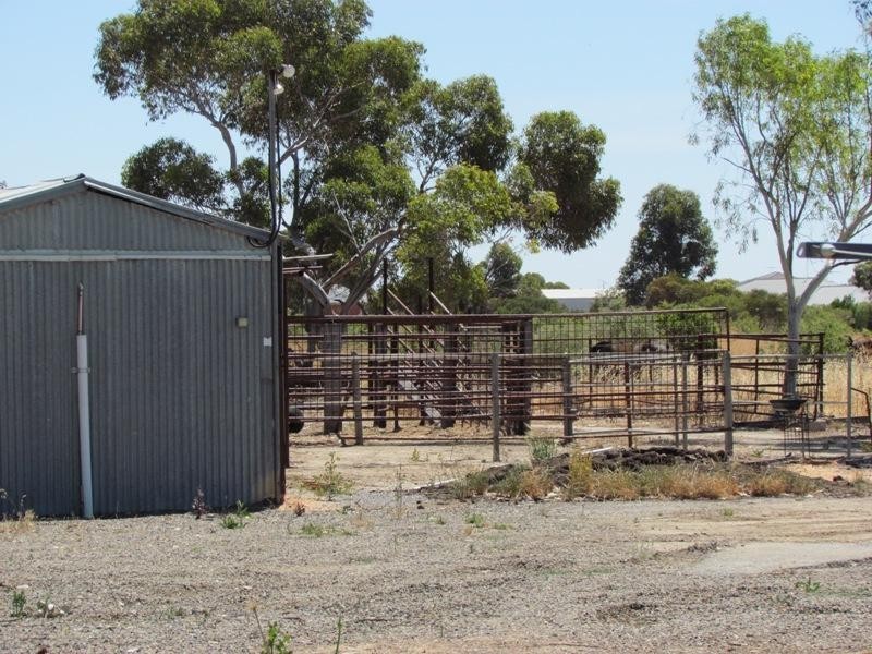 Lot 151 Trim Road, Two Wells SA 5501