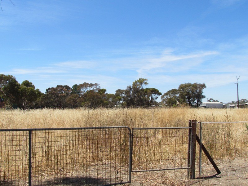 Lot 151 Trim Road, Two Wells SA 5501