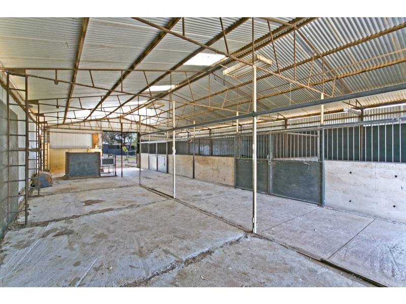 704 Harris Road, Wasleys SA 5400