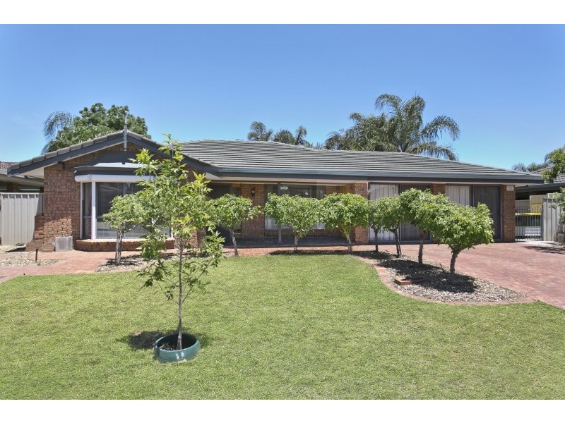 19 Belmar Street, Paralowie SA 5108