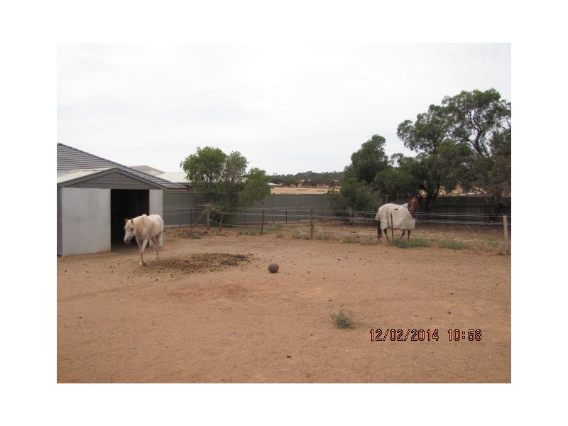 39 Tiver Road, Evanston South SA 5116