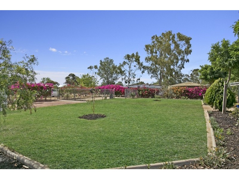 53 Aunger Road, Lewiston SA 5501