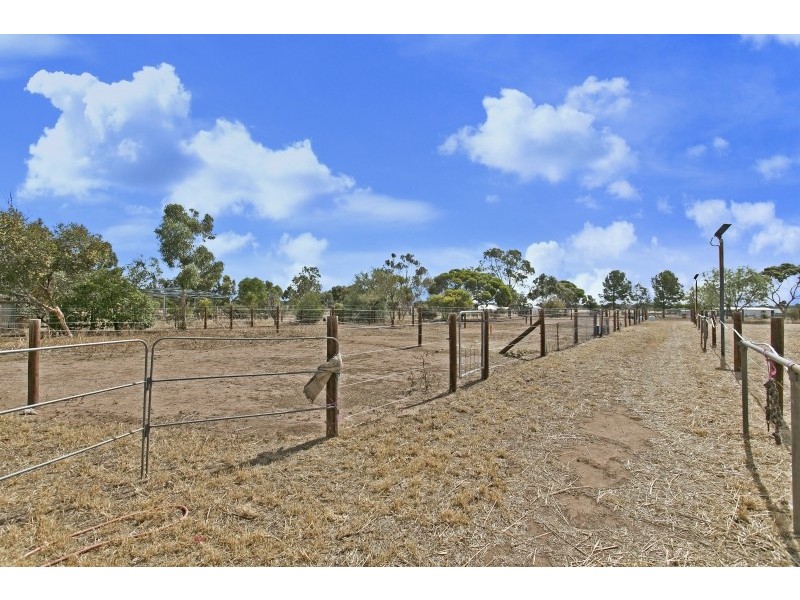 53 Aunger Road, Lewiston SA 5501